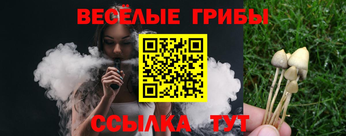 Галлюциногенные грибы GOLDEN TEACHER  Галлюциногенные грибы Psilocybine cubensis  Вход с VPN  как найти закладки  Назарово 