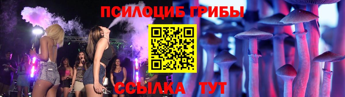 Псилоцибиновые грибы мицелий Назарово
